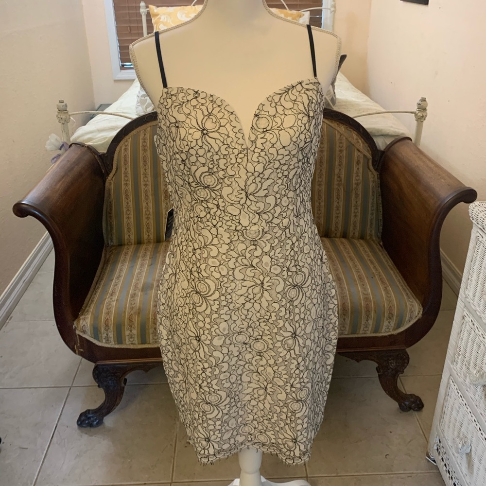 Express Cocktail Dress- Size Medium